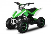 /album/fotogalerij-startpagina/phyton1-jpg1/